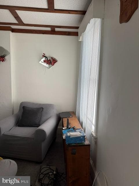 Pa photo 7