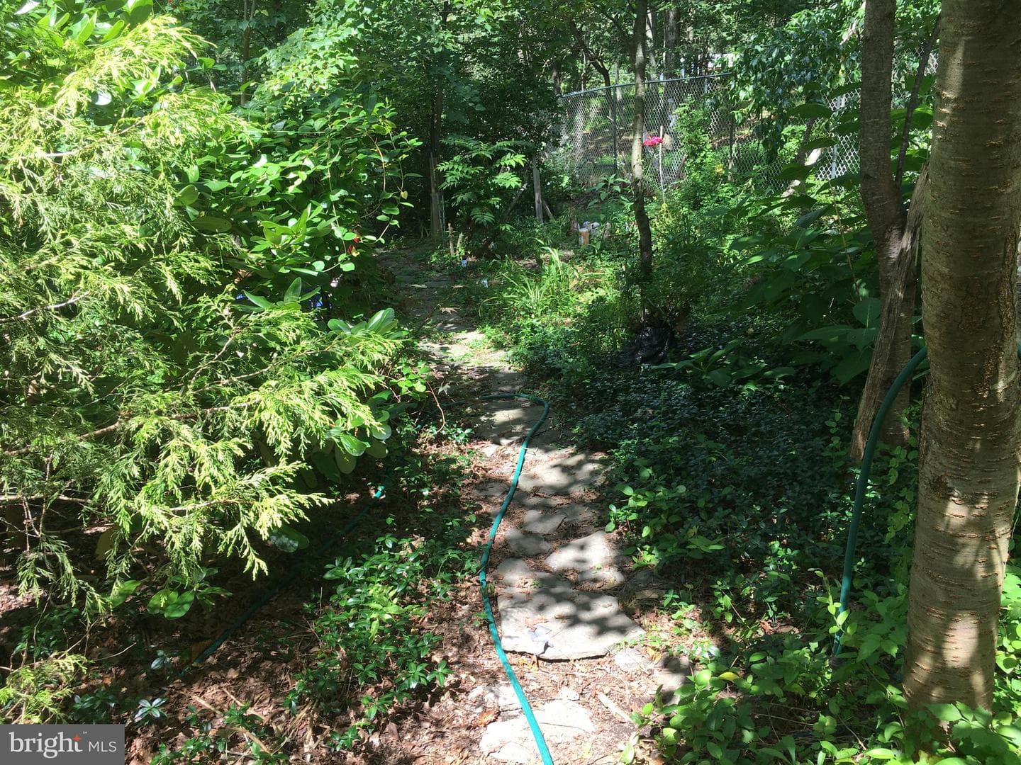 177 Pocono Boulevard photo 19
