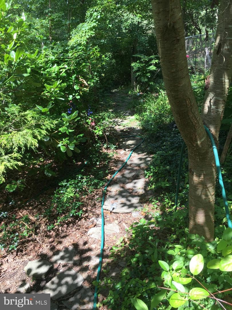 177 Pocono Boulevard photo 20