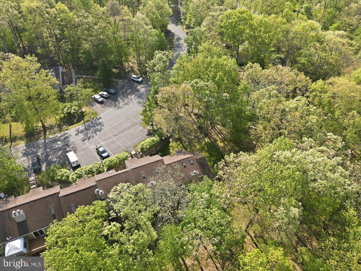 3301 Windermere Drive photo 58