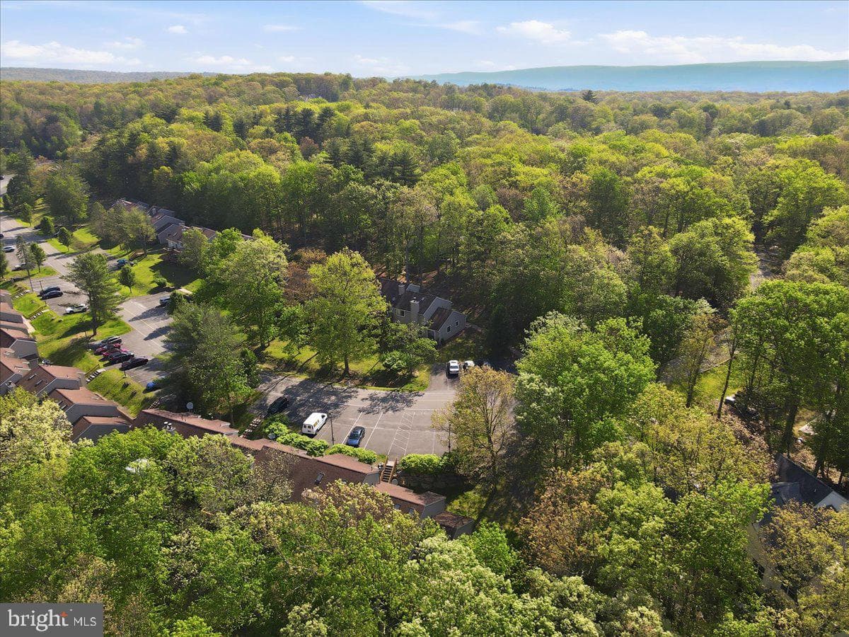 3301 Windermere Drive photo 60