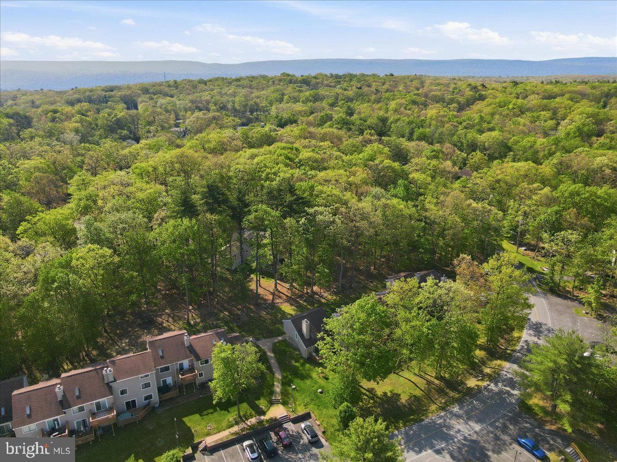 3322 Windermere Drive photo 54