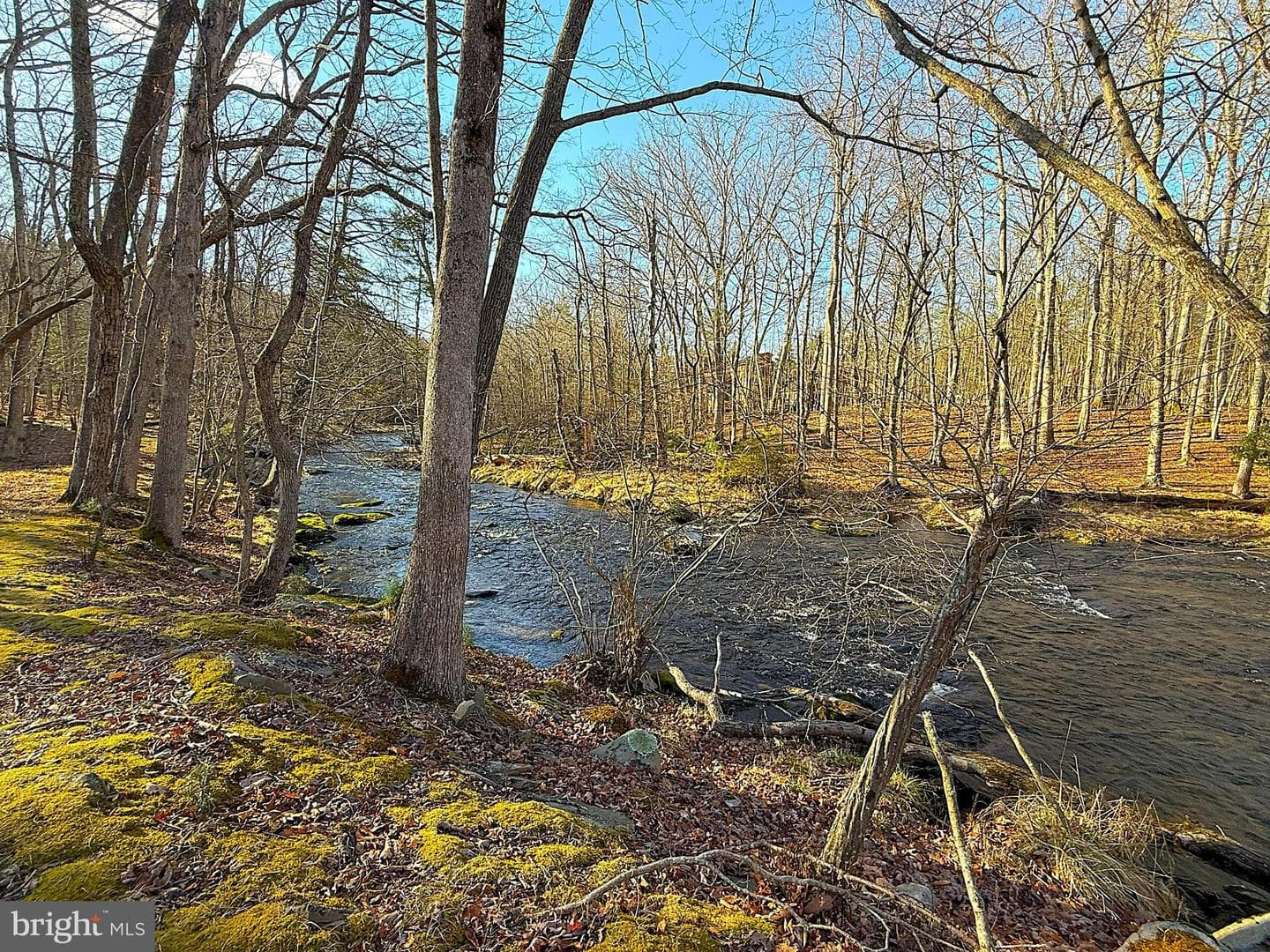 6486 Decker Road photo 32