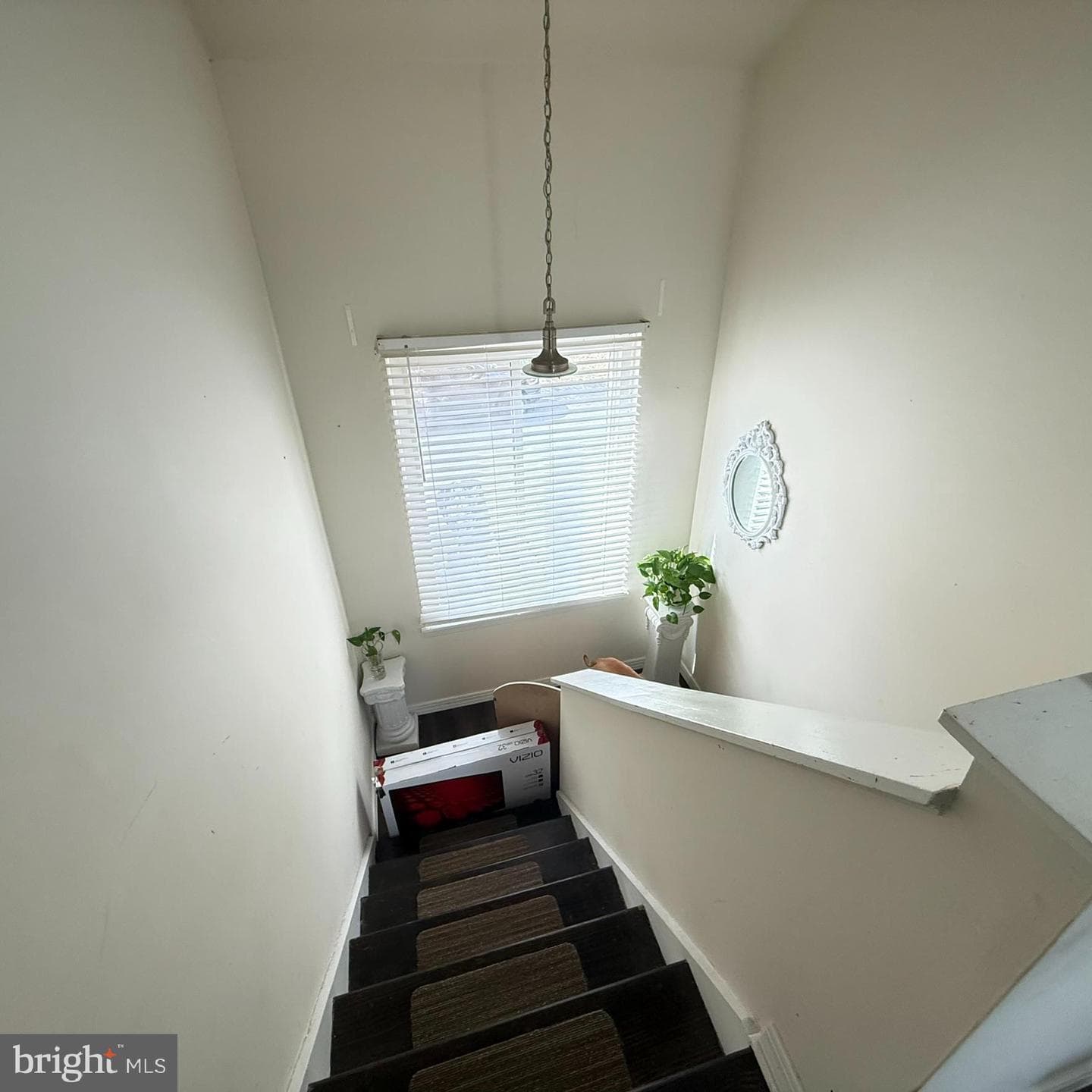 524 Wales Court photo 20