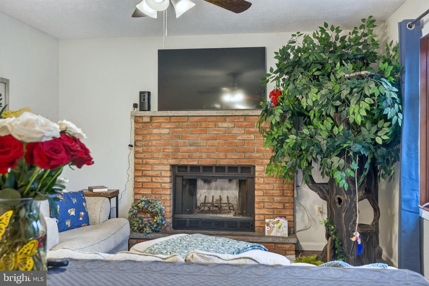244 Canterbury Road photo 15