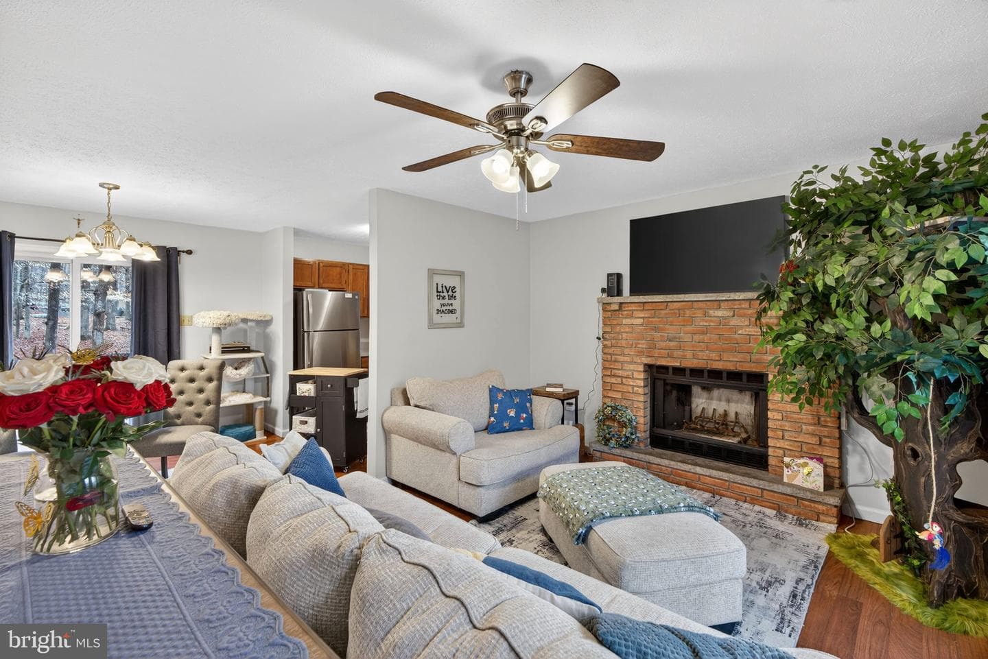 244 Canterbury Road photo 16