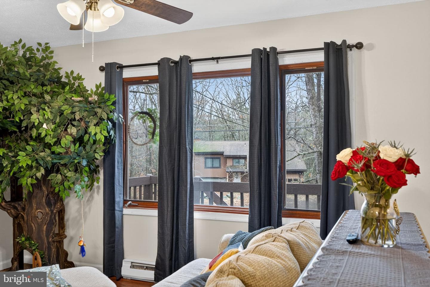 244 Canterbury Road photo 19