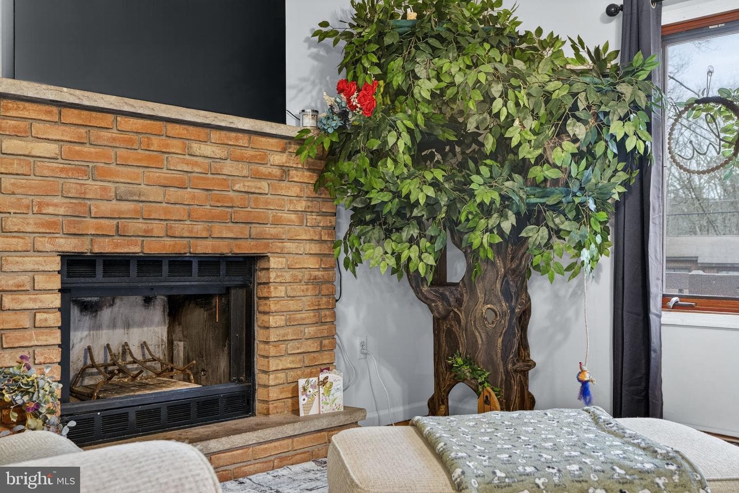 244 Canterbury Road photo 21