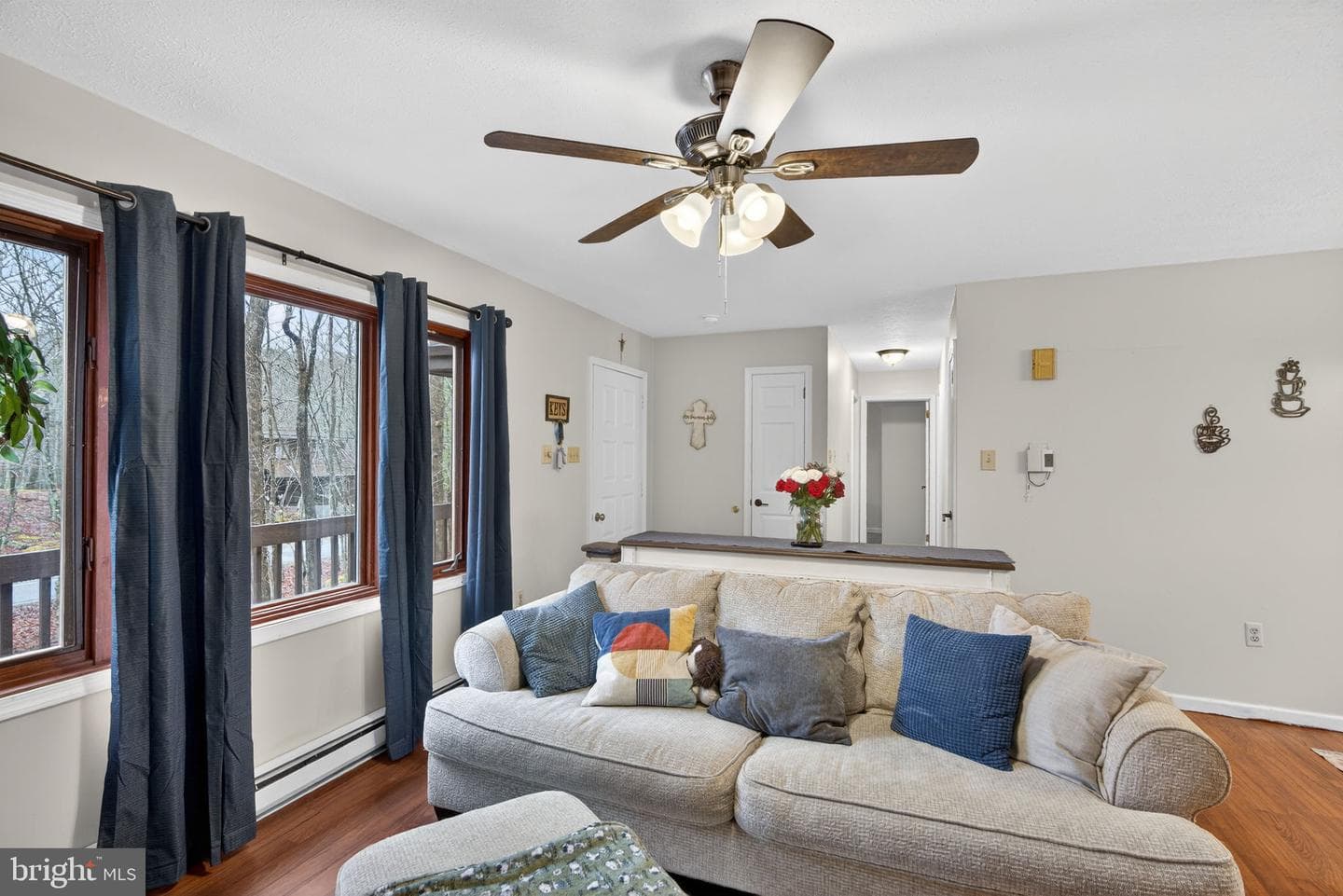 244 Canterbury Road photo 23