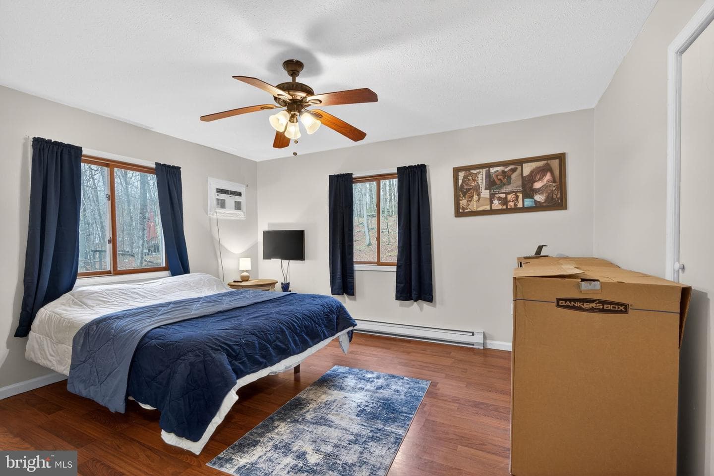244 Canterbury Road photo 33