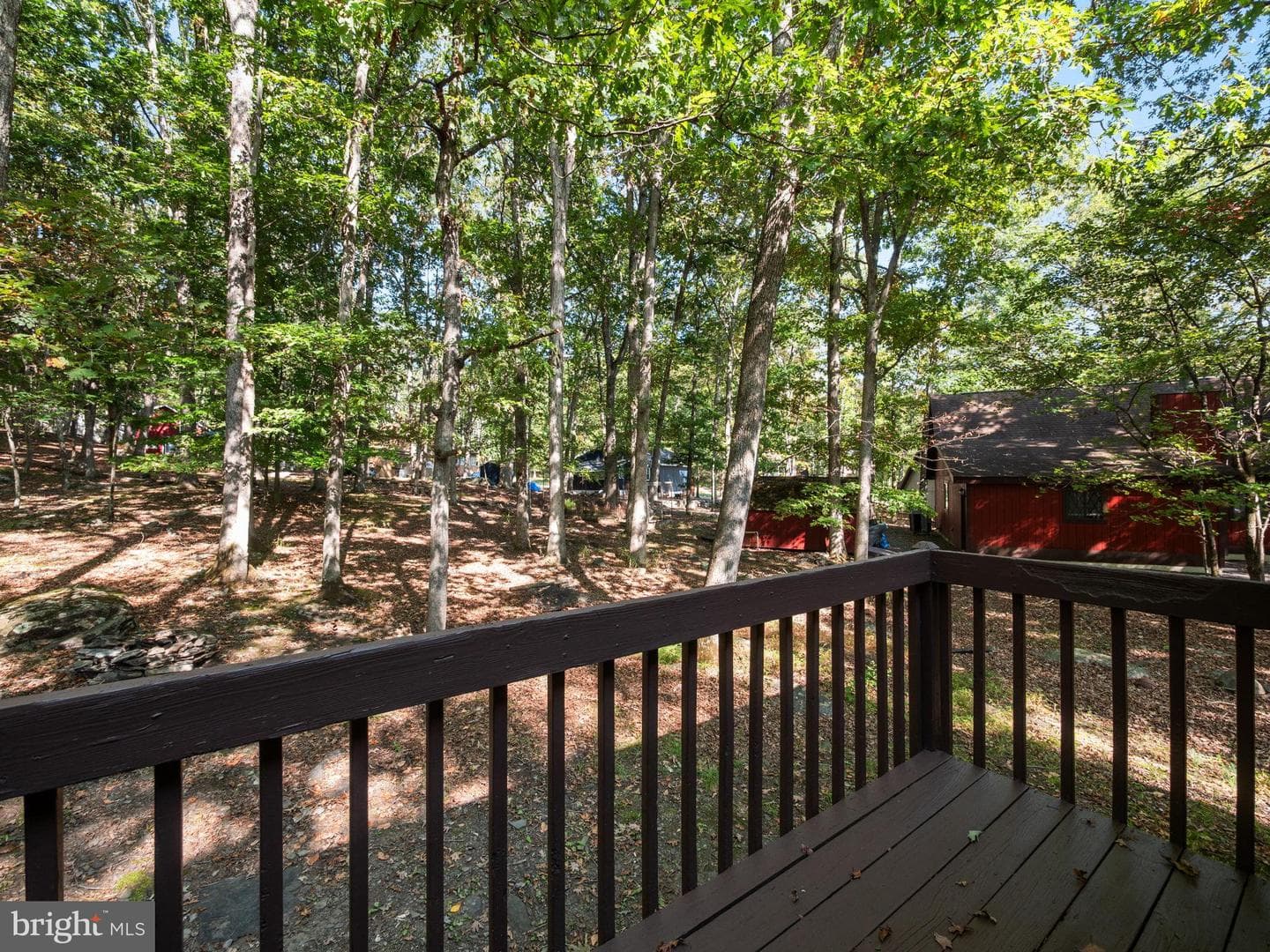 244 Canterbury Road photo 40