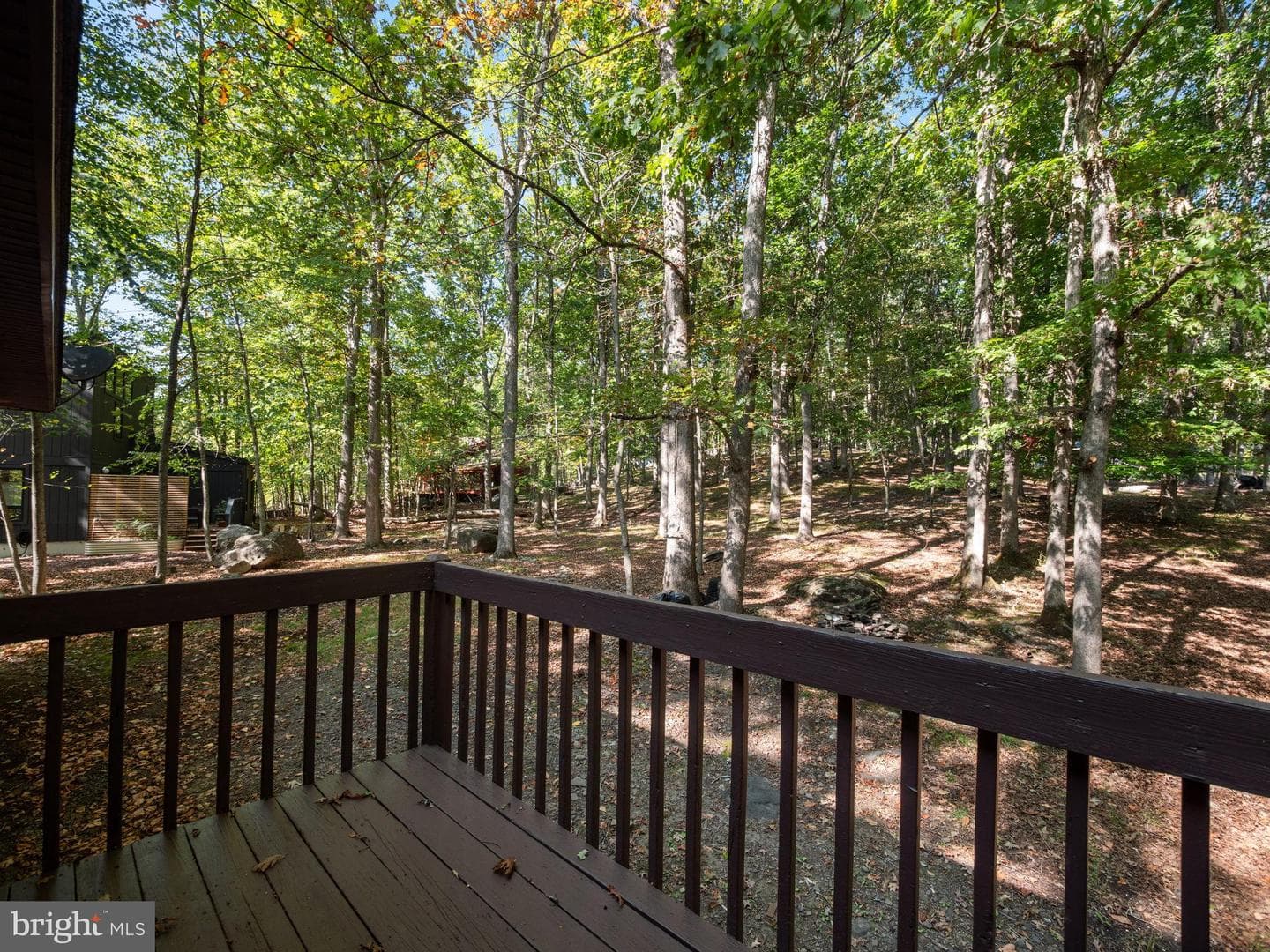 244 Canterbury Road photo 41