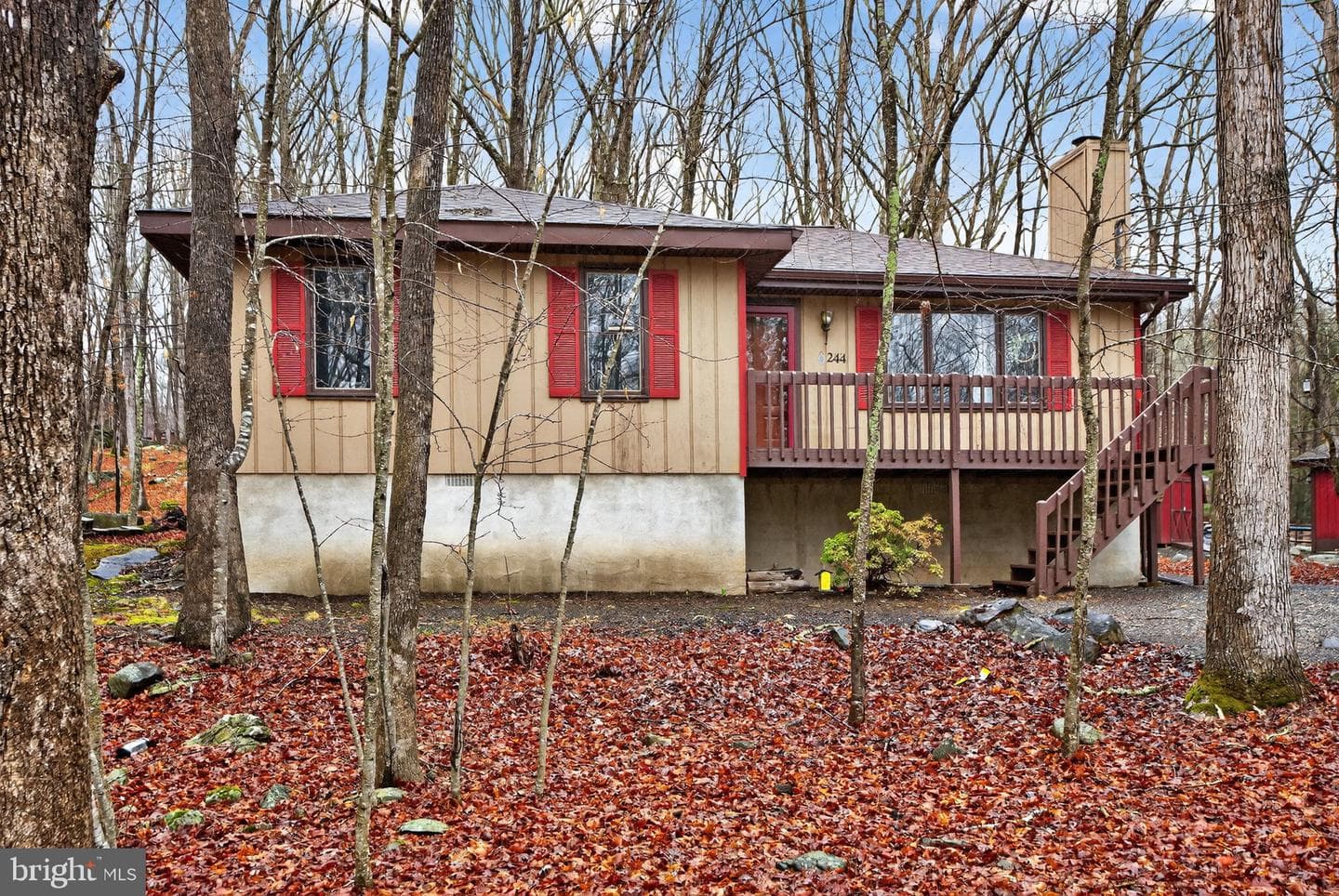 244 Canterbury Road photo 5