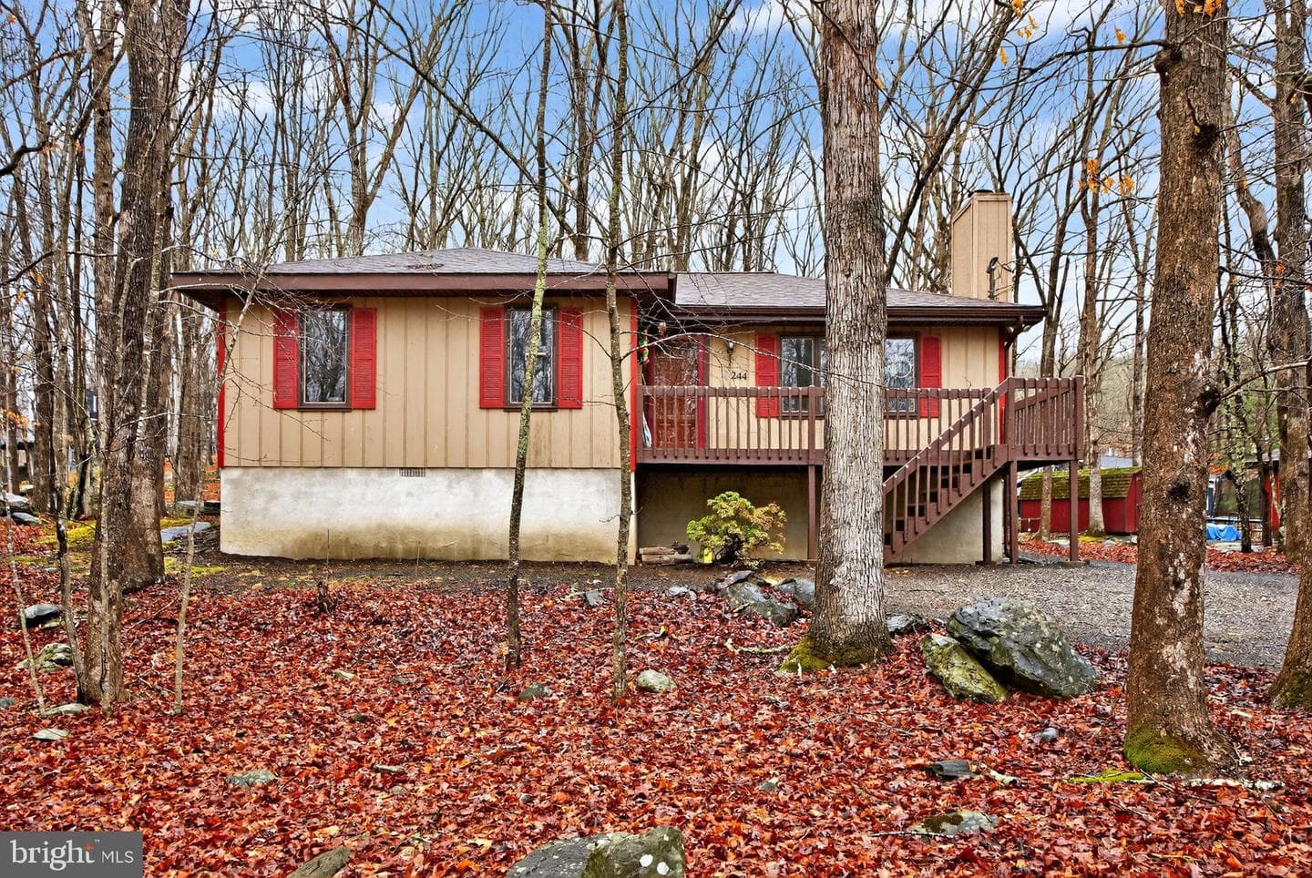 244 Canterbury Road photo 6