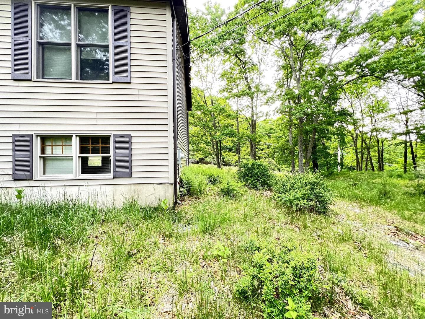 107 Warbler Court photo 6