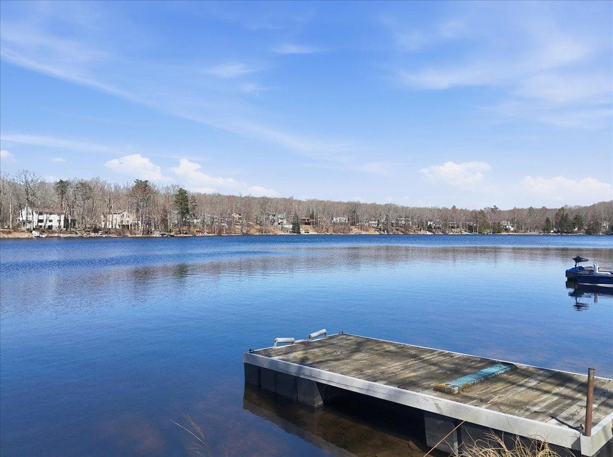 110 Spruce Lake Drive photo 4