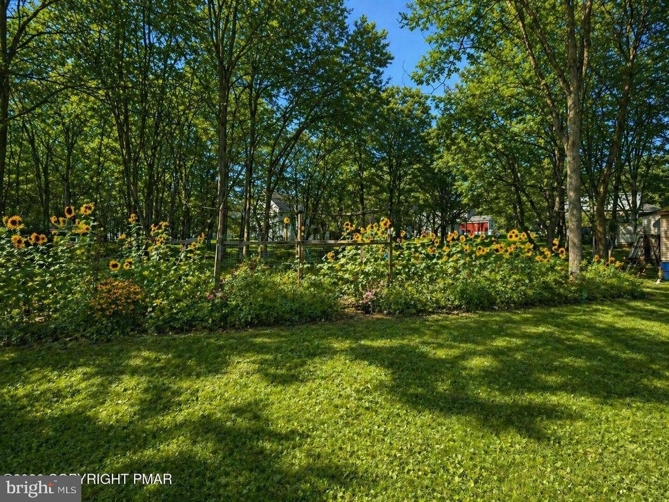 1119 Cranberry Dr photo 12
