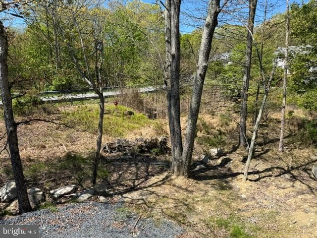 224 Kensington Dr photo 11
