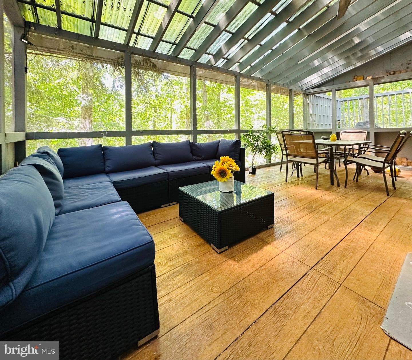 275 Canterbury photo 14