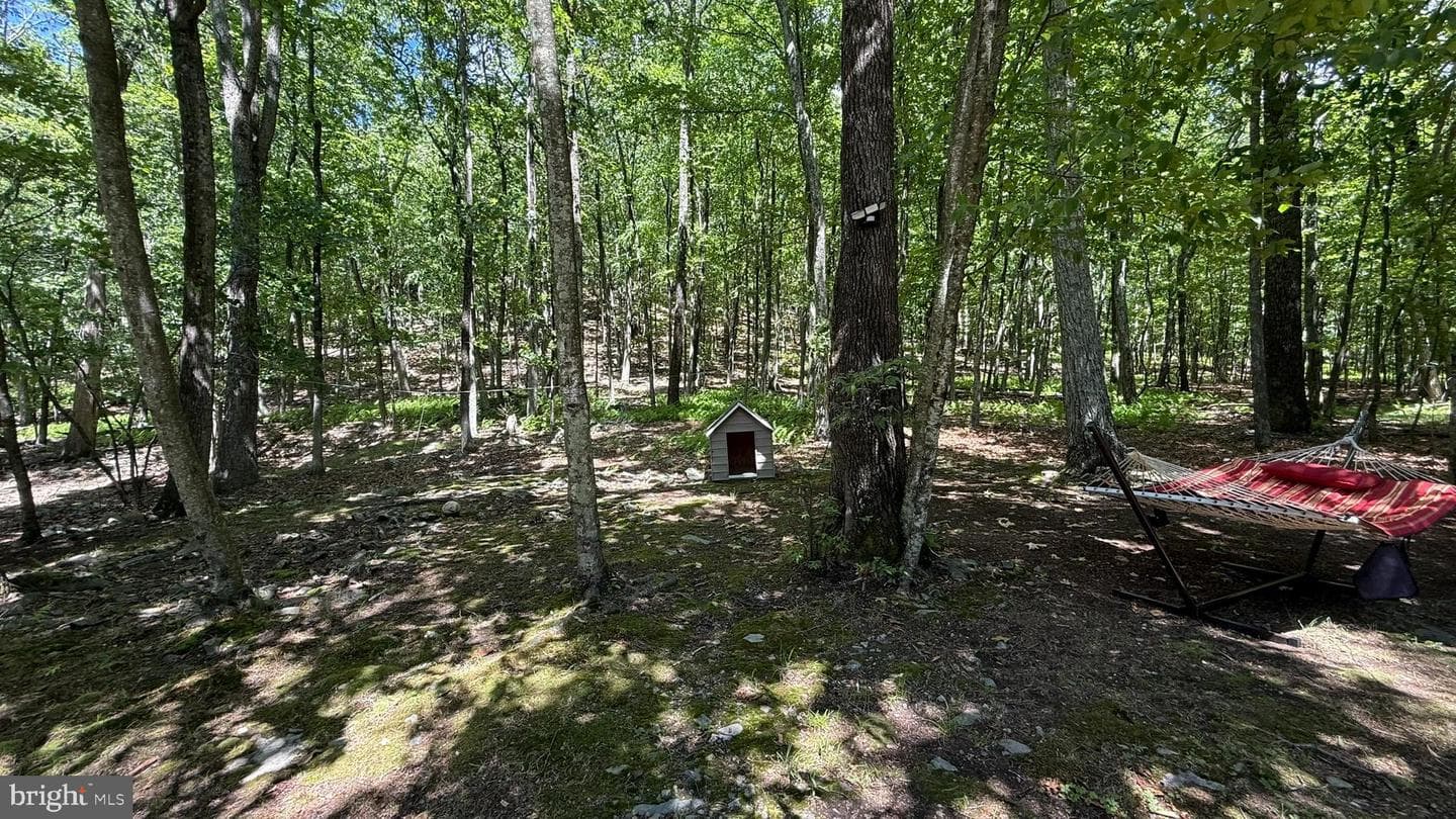 4271 Winchester Way photo 6