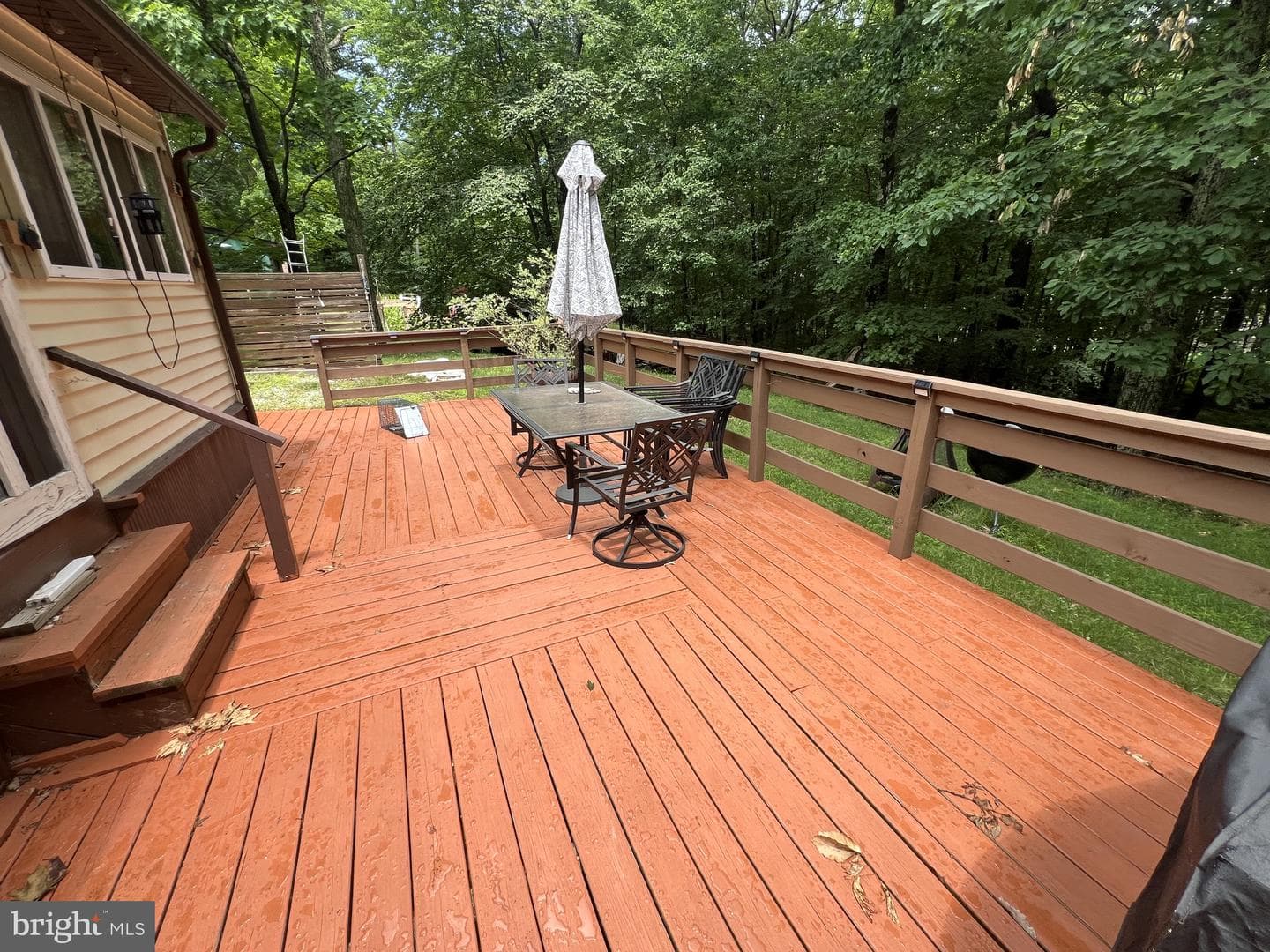 113 Bailey Drive photo 6