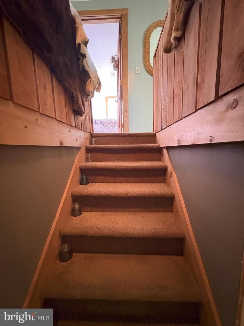 43 Songbird Way photo 52
