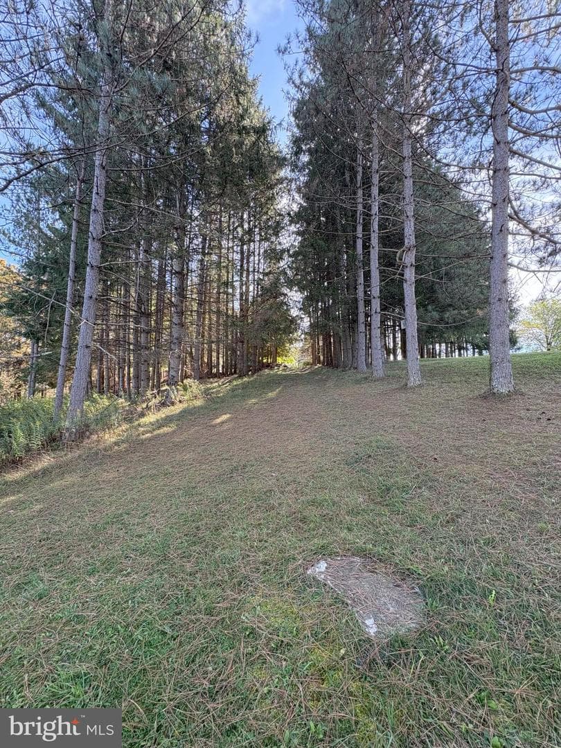 43 Songbird Way photo 63