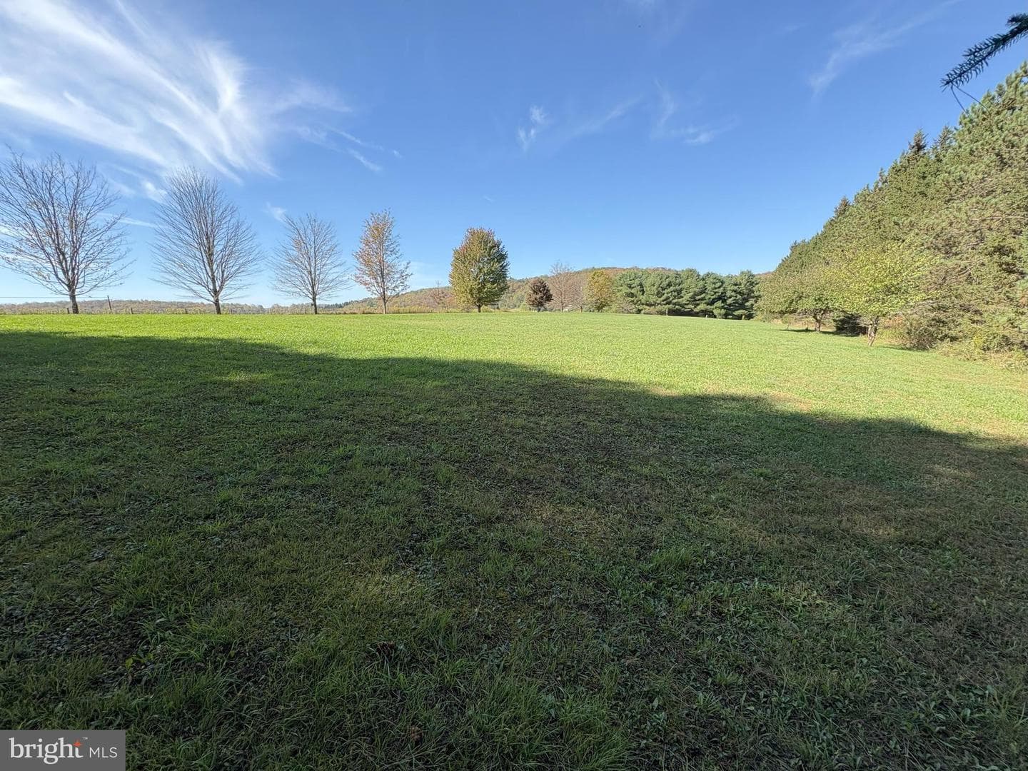 43 Songbird Way photo 73