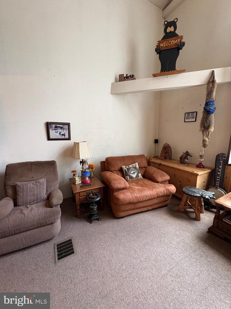 4 Hemlock Lane photo 27
