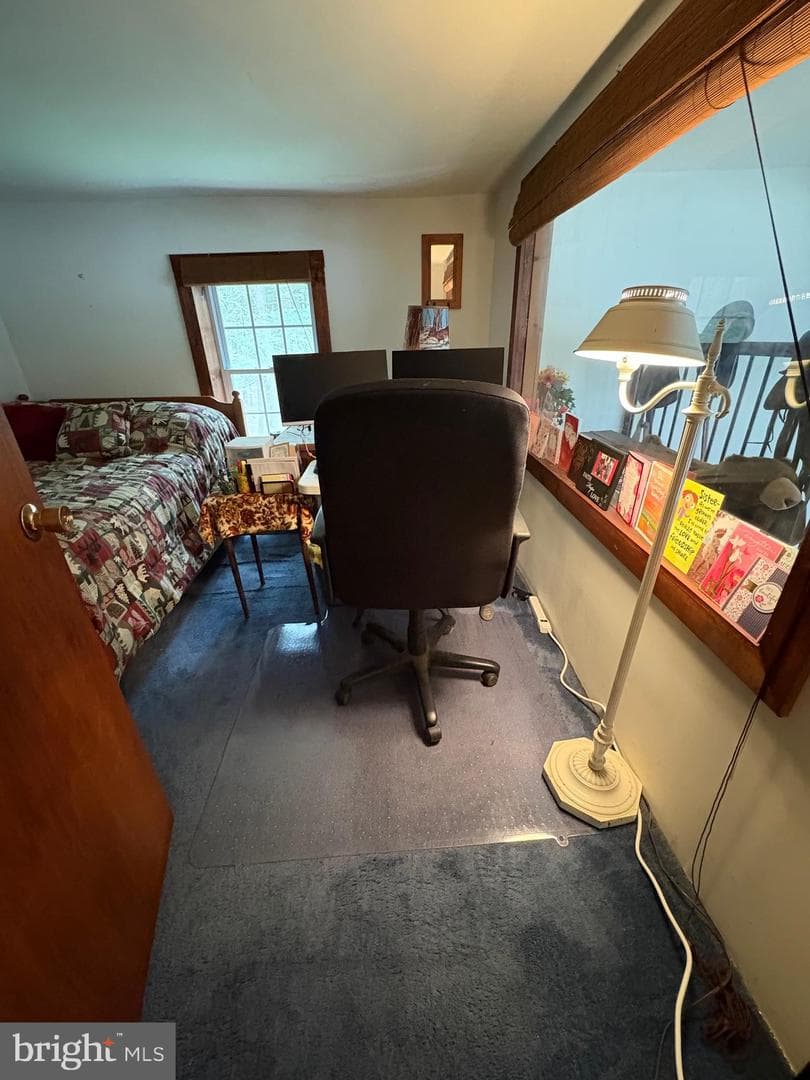 4 Hemlock Lane photo 41