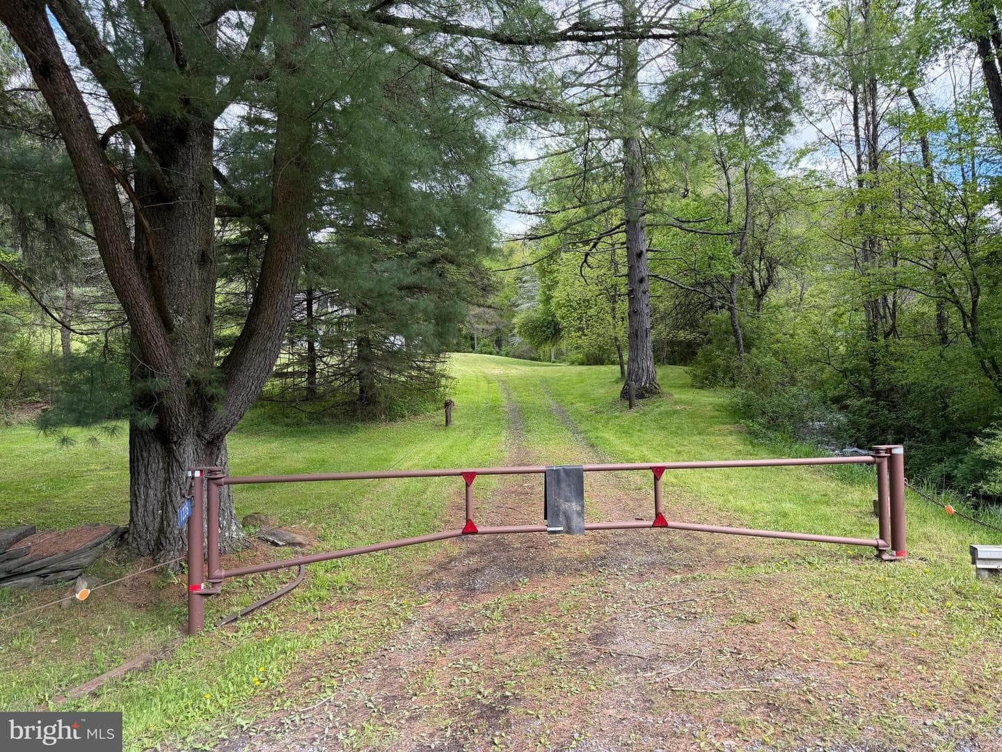 Tract 1: 1226 Cross Fork Creek Rd photo 137