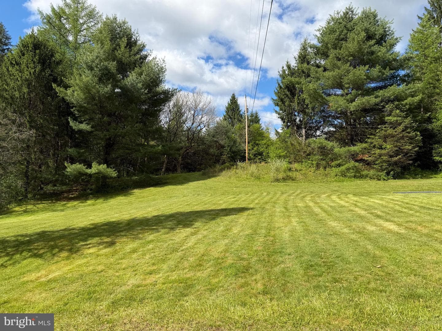 Tract 1: 1226 Cross Fork Creek Rd photo 32