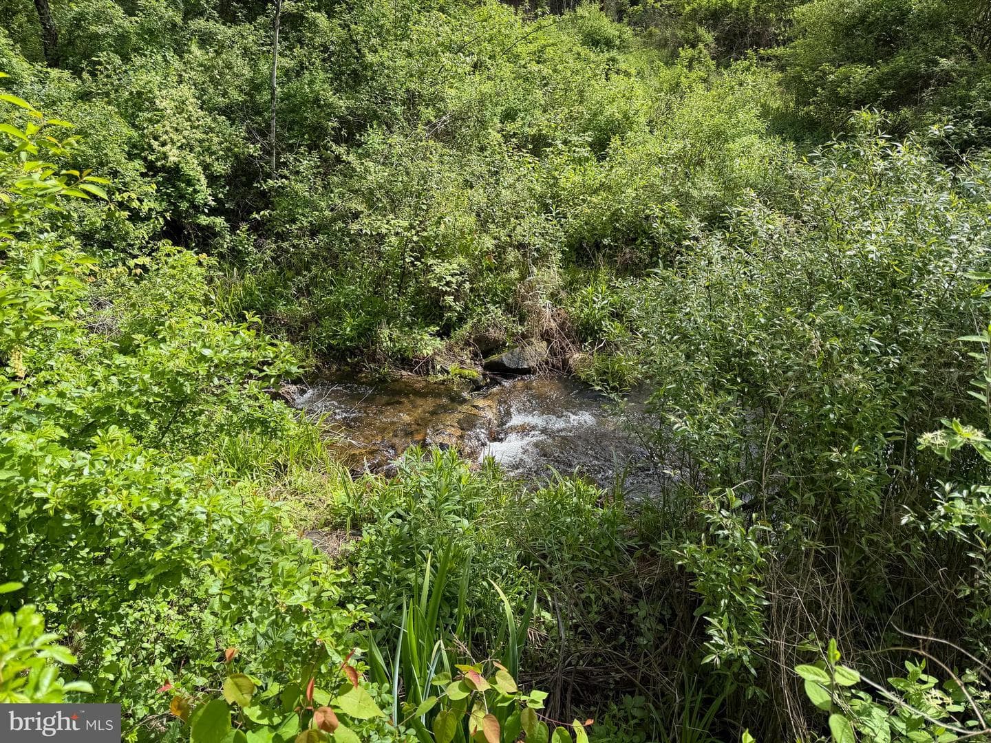 Tract 1: 1226 Cross Fork Creek Rd photo 34
