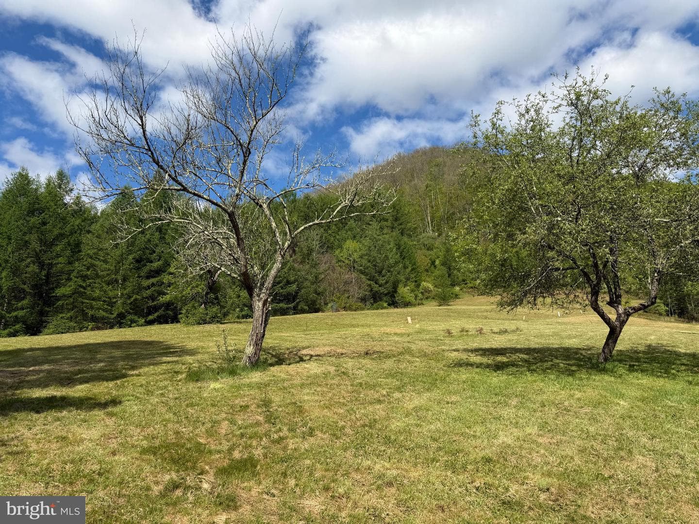 Tract 1: 1226 Cross Fork Creek Rd photo 47