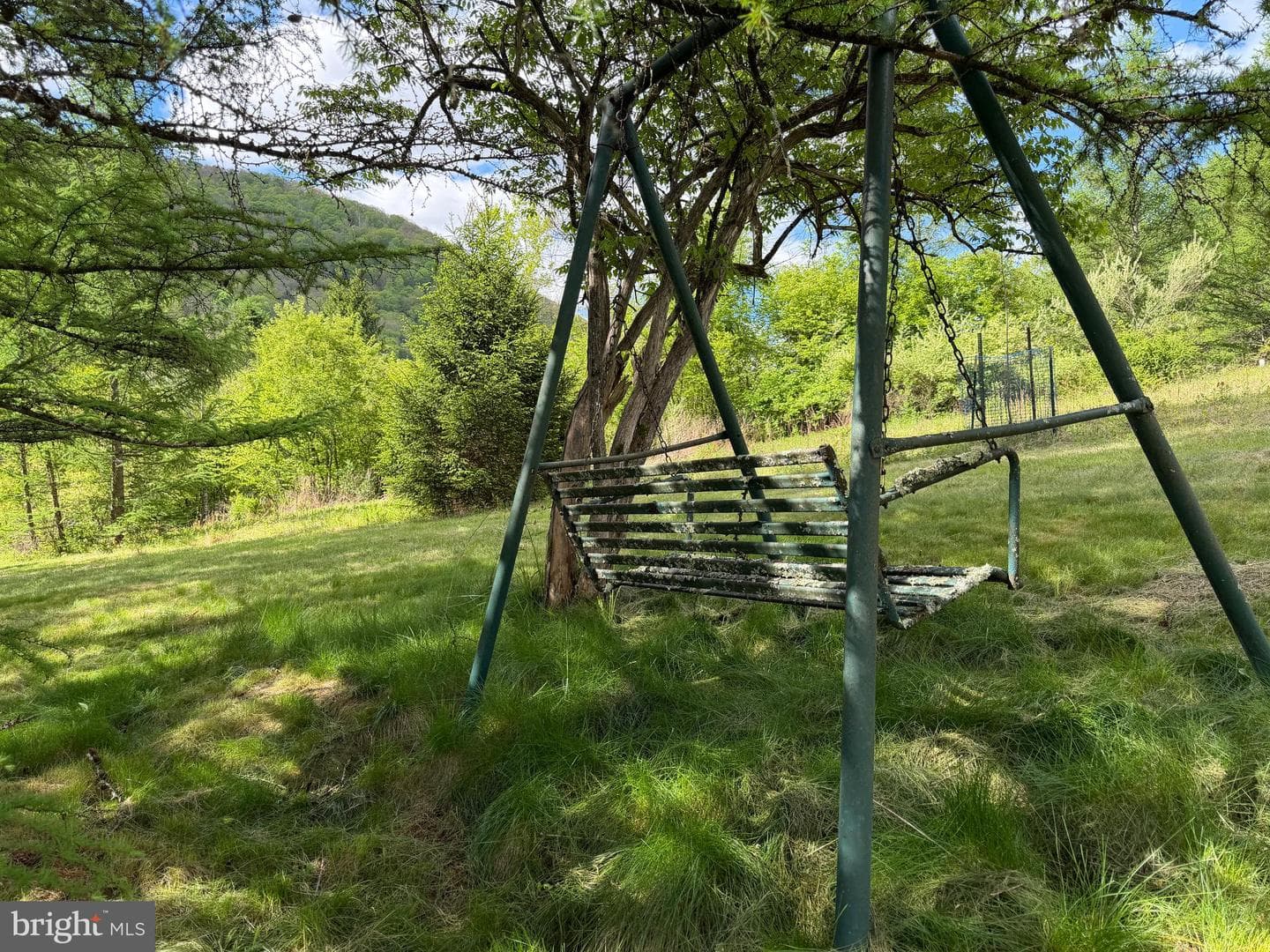 Tract 1: 1226 Cross Fork Creek Rd photo 48
