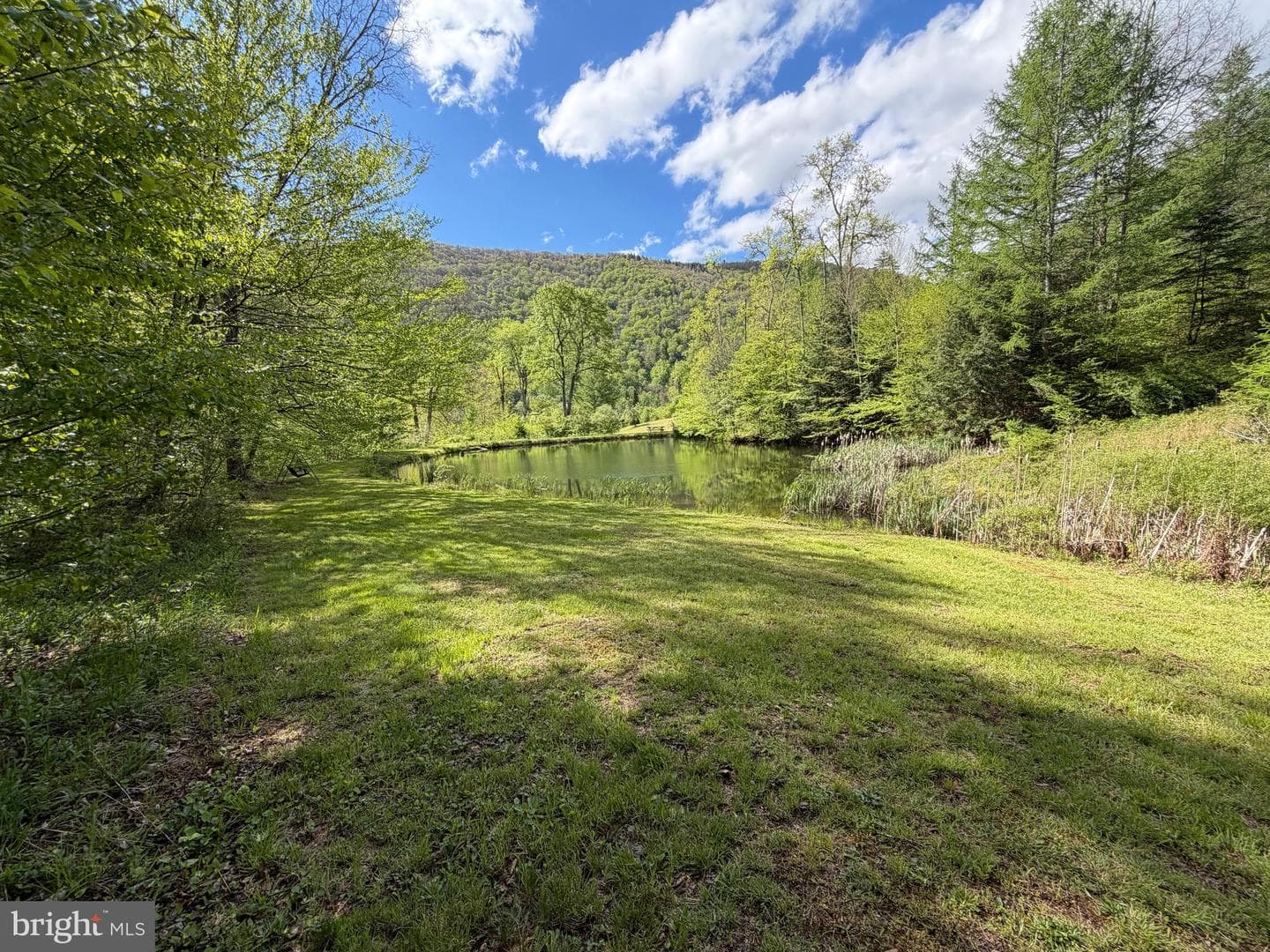 Tract 1: 1226 Cross Fork Creek Rd photo 63