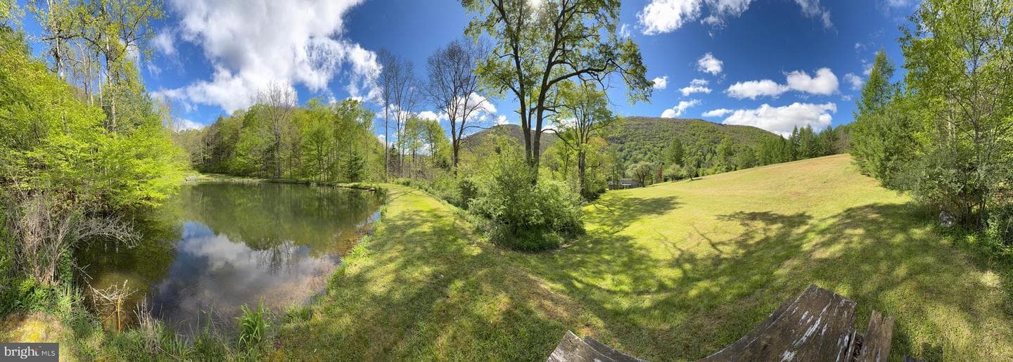 Tract 1: 1226 Cross Fork Creek Rd photo 69