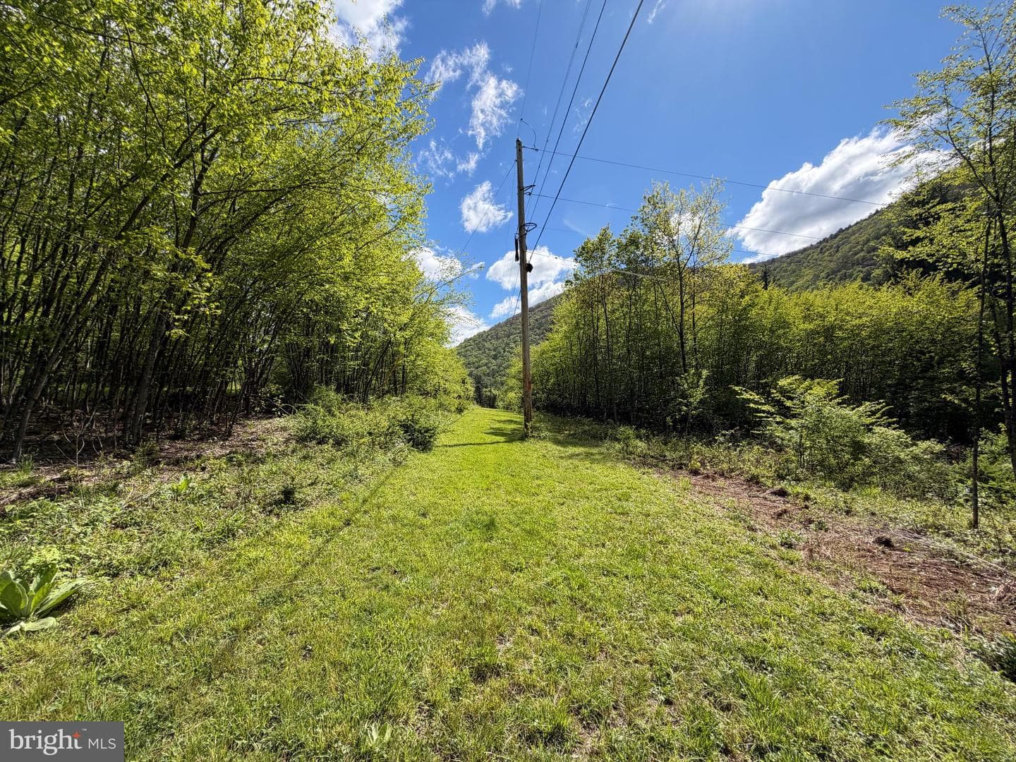 Tract 1: 1226 Cross Fork Creek Rd photo 79