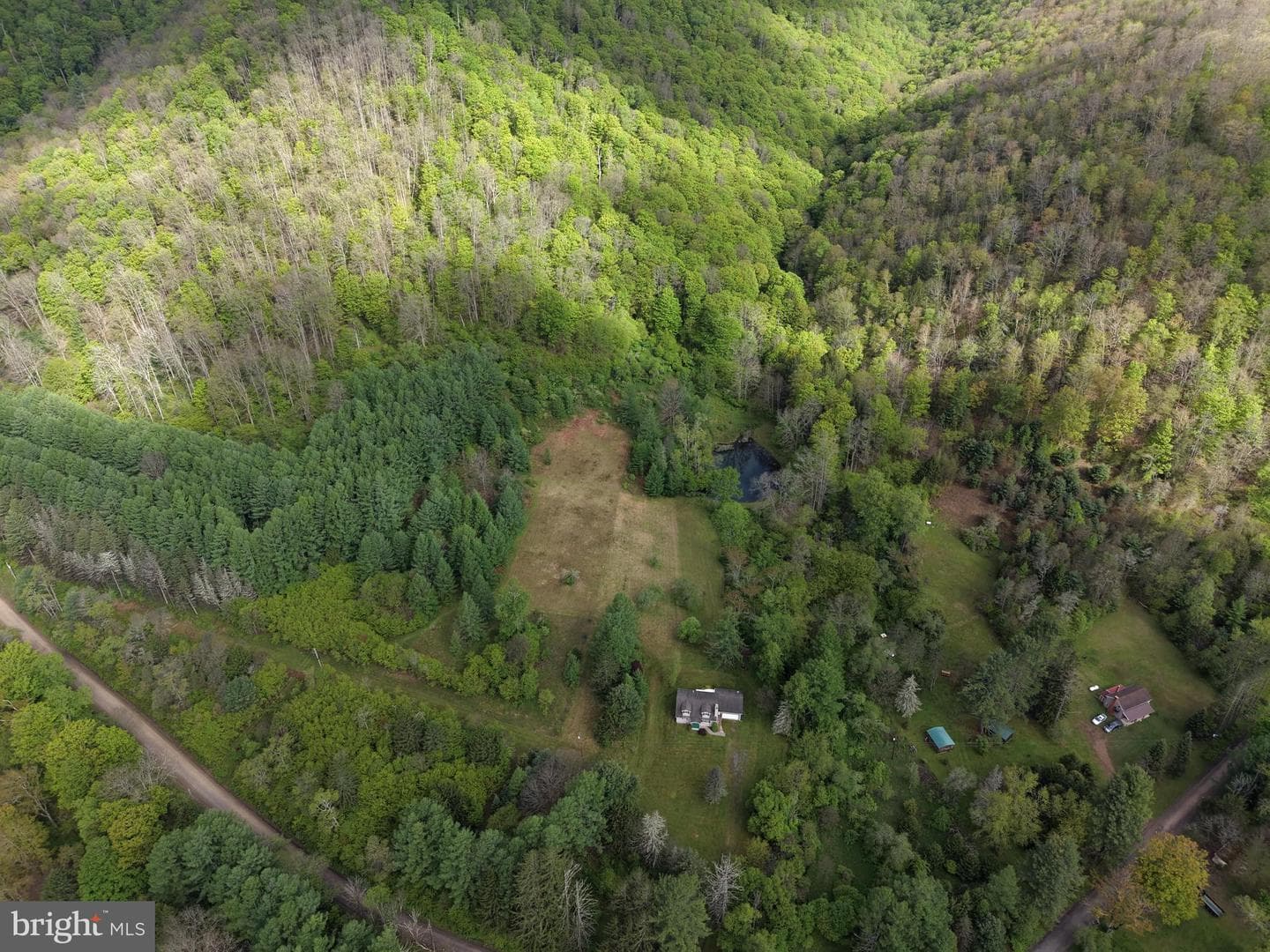 Tract 1: 1226 Cross Fork Creek Rd photo 8