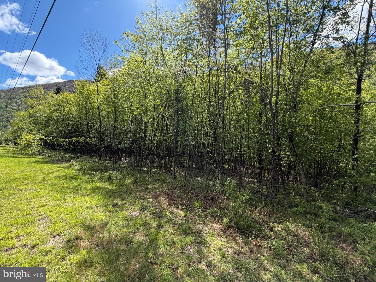 Tract 1: 1226 Cross Fork Creek Rd photo 80