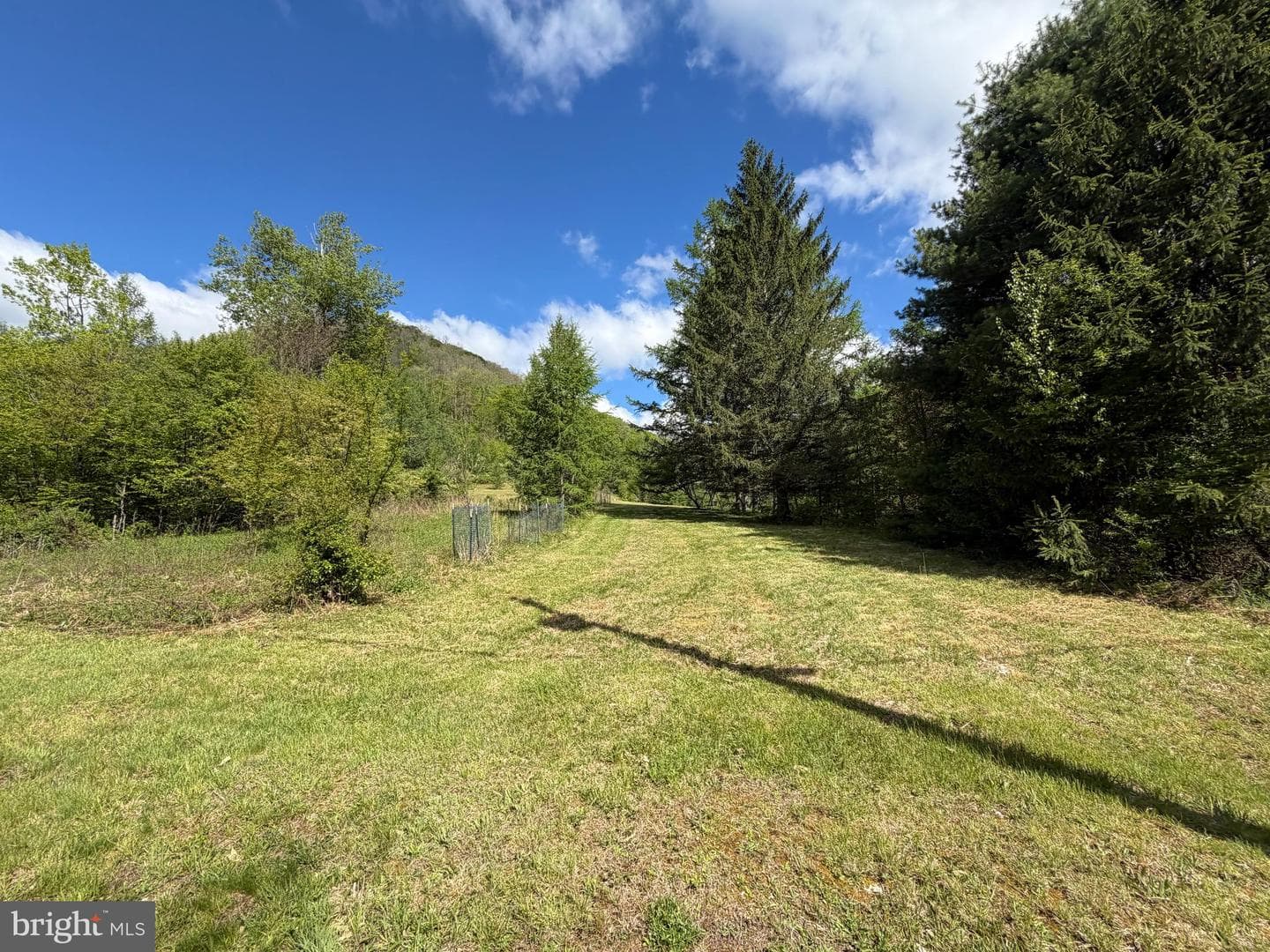 Tract 1: 1226 Cross Fork Creek Rd photo 83