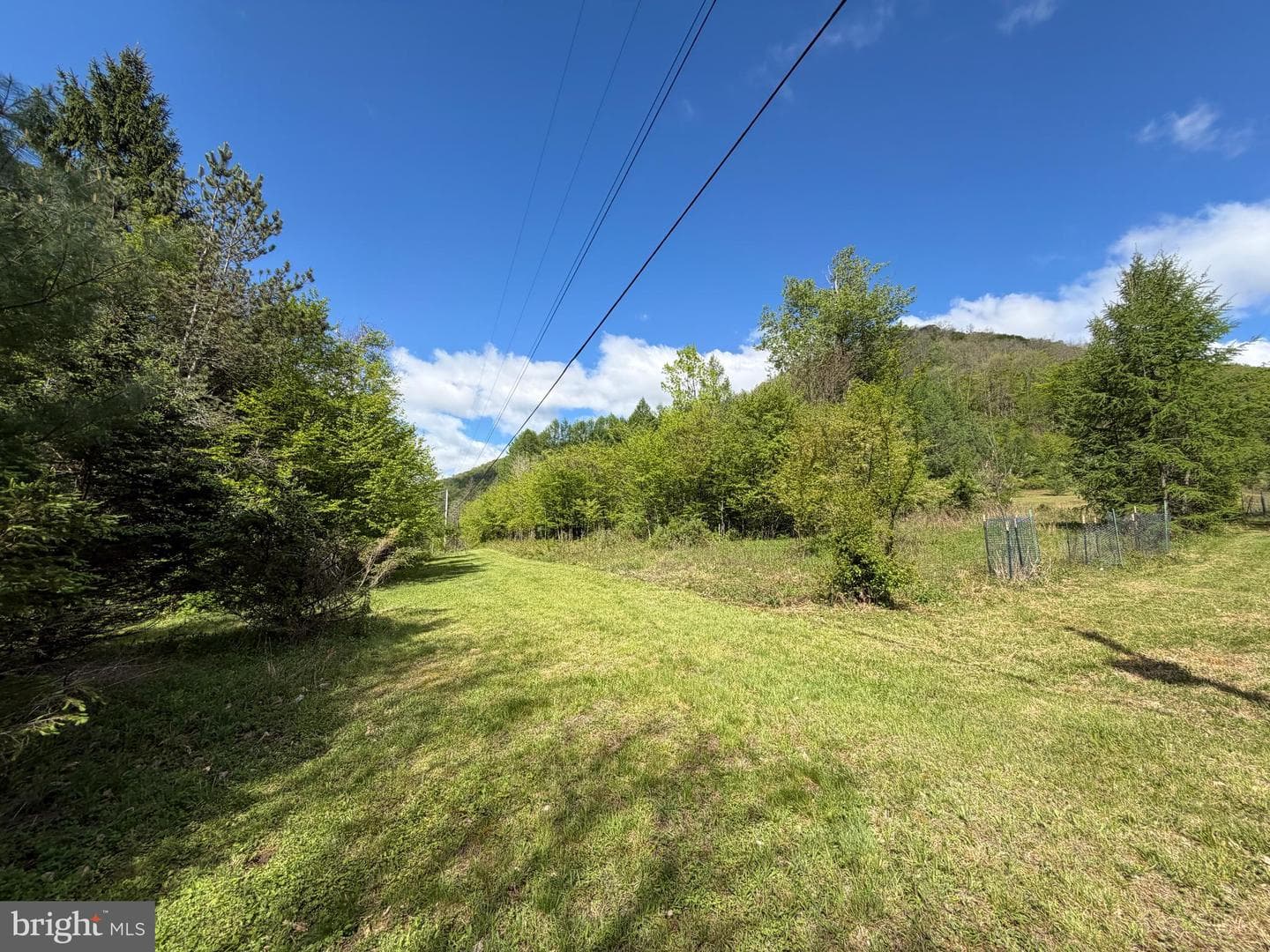 Tract 1: 1226 Cross Fork Creek Rd photo 84