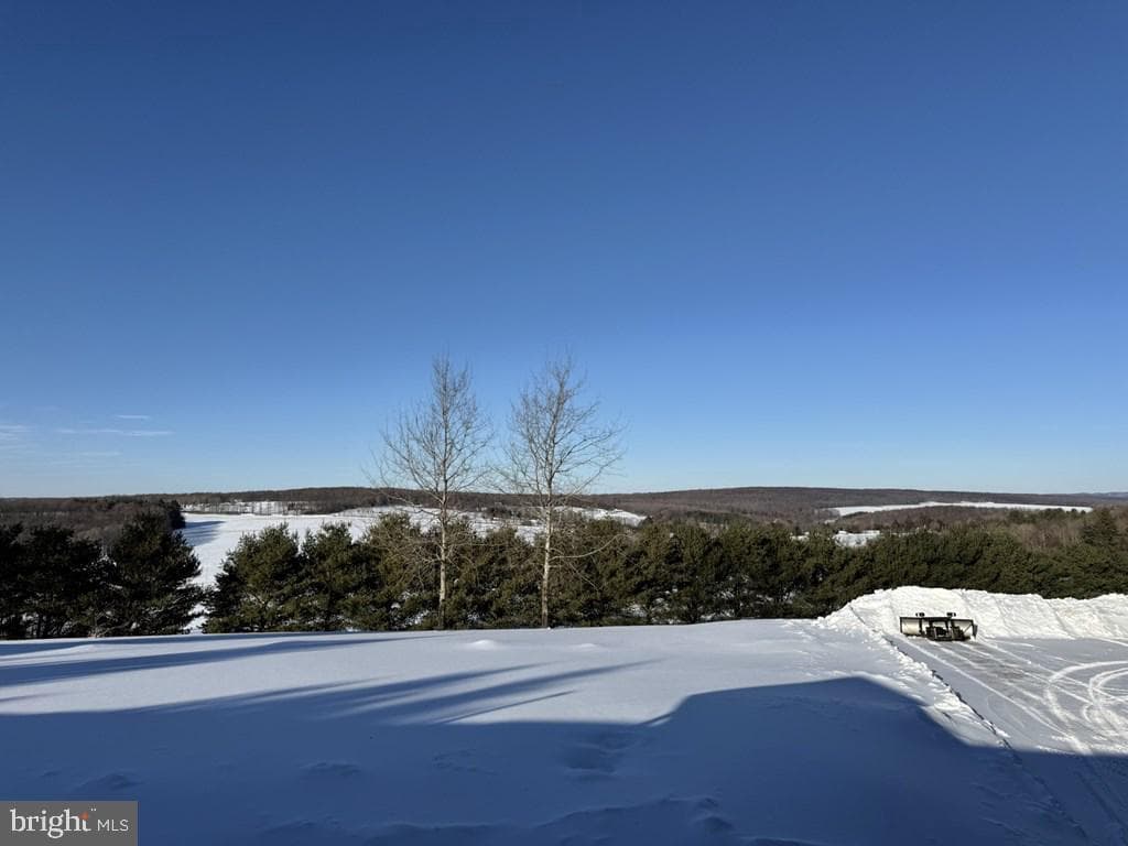 69 & 75 Sky Top Road photo 9