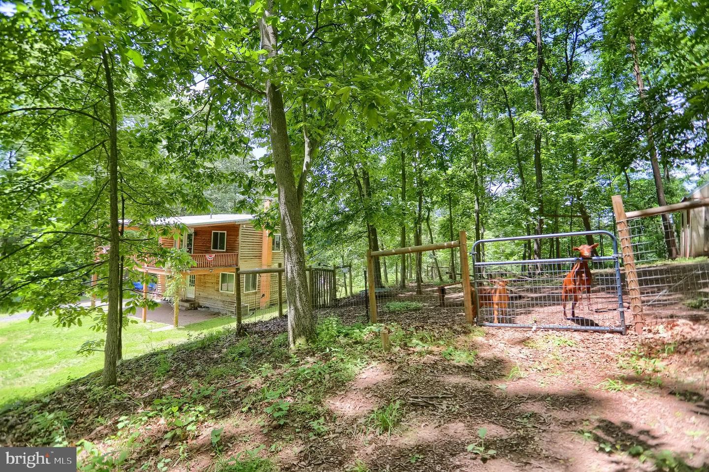 671 Buckwalter Road photo 54
