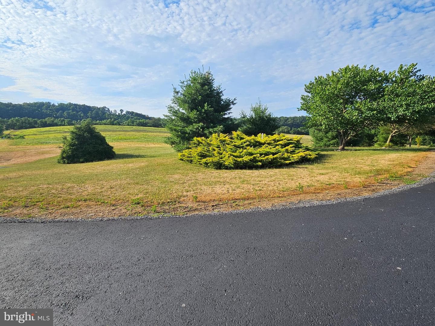 705 Veterans Way photo 43