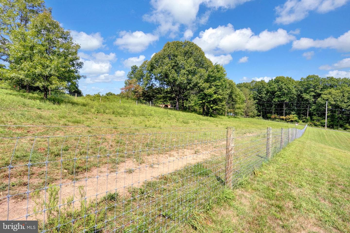 1304 Honeysuckle Hollow Rd photo 48