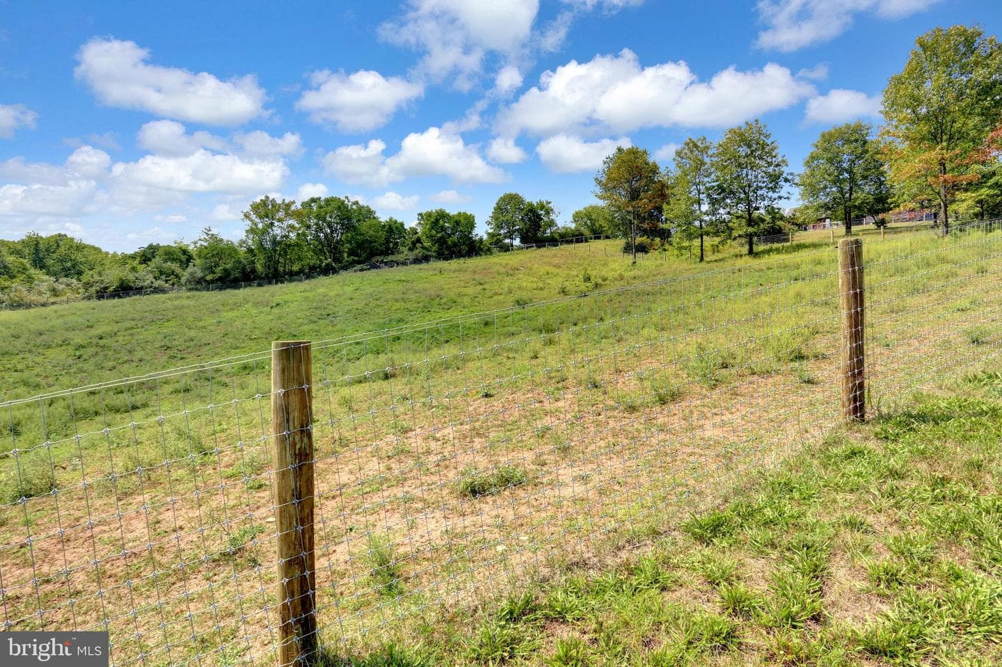 1304 Honeysuckle Hollow Rd photo 50