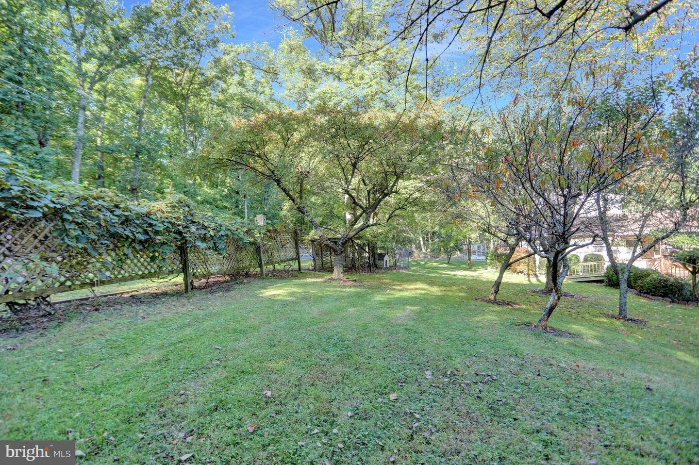 650 Bucks Church Road photo 32