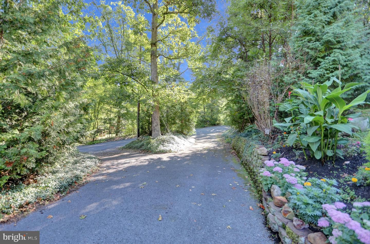 650 Bucks Church Road photo 5