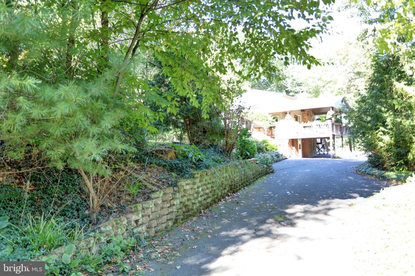 650 Bucks Church Road photo 6